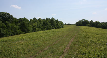 Looking south from the northern portion of this farm
