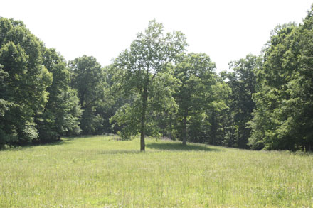 30 Acres For Sale With a Pond in Tennessee: Richey Mini Farms